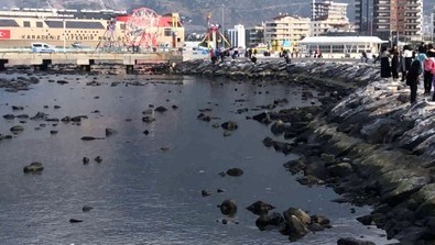 İskenderun'da endişelendiren görüntü: Deniz çekildi - Resim : 1