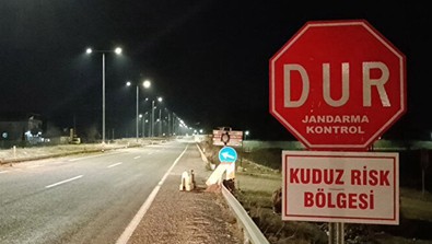 Adıyaman'da 1 ilçede alarm: Sahipli köpek kuduz çıktı, bölge karantinaya alındı - Resim : 1