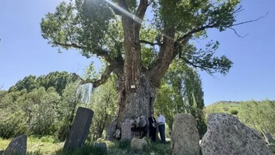 Kayseri'nin Develi ilçesinde! Dünyada başka bir örneği yok - Resim : 2
