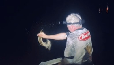 Sudaki timsahı çıplak eliyle yakaladı... Timsah avcısının o hareketi pahalıya patladı - Resim : 2