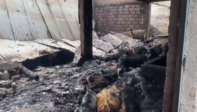 Aynı anda köyün 6 yerinde yangın çıktı. Ev, traktör ve ahırlar kullanılamaz hale geldi. 13 büyükbaş yanarak can verdi - Resim : 2
