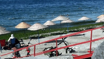 Avcılar sahiline gidenler yemyeşil yosunlarla karşılaştı…Kimse denize girmek istemedi - Resim : 2