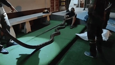 Evinde gece vakti uyuyan adam, gözlerini açtığında ayağında korkunç canavarı gördü. Can havliyle canavardan koca bir ısırık parça kopardı - Resim : 2
