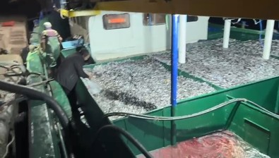 Kastamonu'da ortalık bir anda karıştı, göz gözü görmüyordu. Alelacele botlarını giyip tekneye atladılar. Balıkçılar geri döndüğünde ellerindeki şaşırttı - Resim : 1