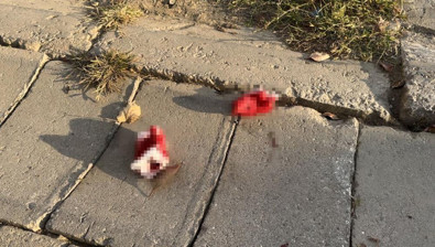 17 yaşındaki genç annesini katletti! Akrabalarından 4 kişiyi de yaraladı - Resim : 2