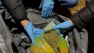 Çiftlik evindeki kümeste 1 kilo 400 gram esrar ele geçirildi: 1 kişi gözaltına alındı! - Resim : 2