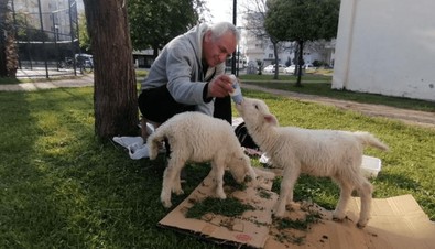 Böyle sevgi görülmedi. Parkta onu görenler, yanındaki canlıya bakınca hemen yanına koşuyor - Resim : 1