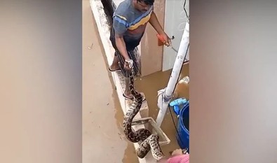 Dünyada artık bu manzara daha çok görülecek... Sel sularının arasından süze süze yüzerek geldi.. Kafasını kaldırınca herkes çığlığı bastı - Resim : 2
