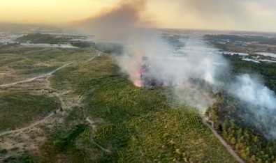 Antalya'da korkutan orman yangını! - Resim : 1
