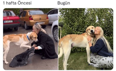 Ünlü fenomen Konya barınağından köpek sahiplenmişti! Bakımsızlıktan kemikleri sayılan köpeğin son hali herkesi duygulandırdı - Resim : 1