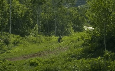 Ormanda arkasında bir ses duyan bisikletçi, döndüğü anda şoka girdi. Karşısındaki dev yaratıktan kaçmak için tüm hızıyla pedallara asıldı - Resim : 1