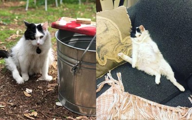Beş bacağı olduğuna inandırmak için röntgenini paylaşmıştı... Şimdi ise ölmemesi için yardım bekliyor - Resim : 1