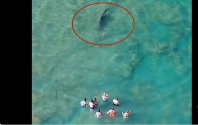 Kulaçlarını suda hızlı hızlı çırparken bir anda karşılarında belirdi. Herkes kıyıdan telefonunu istedi. O sırada yukarıda bir drone olanları çekti - Resim : 1