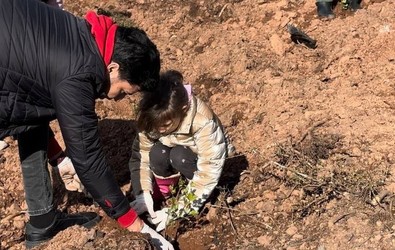 Marmaris'te 2021'de yanan ormana 5 bin fidan daha dikildi - Resim : 1