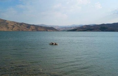 Elazığ'da sürüden kaçan hayvanı her yerde aradı. Suyun yüzeyinde cansız bedenini görünce onu hemen tanıdı - Resim : 1