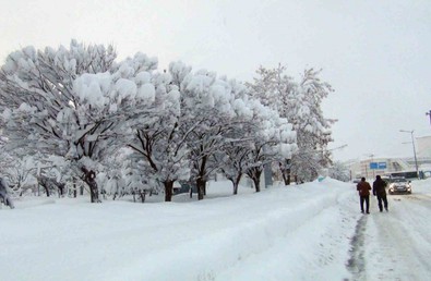 Bitlis'te 3 gündür yoğun kar yağışı etkili oldu. Tek katlı evler, arabalar ve yön levhaları kardan kayboldu - Resim : 1
