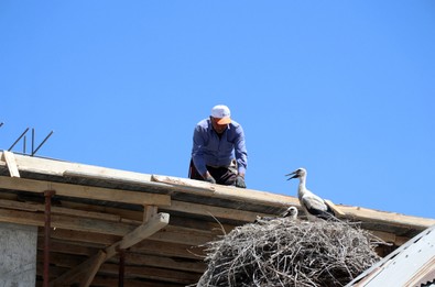 Göçebe hayatlarını bırakıp 20 yıldır Hakkari'de yerleşik hayata geçtiler. İnşaata rağmen yuvalarını terk etmiyorlar - Resim : 1