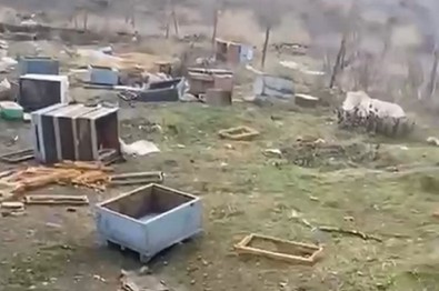 Kış uykusuna yatmayan canlı bu kez Sivas'ta ortaya çıktı. Tam 50 tanesini paramparça etti. Artık korkutuyor - Resim : 1