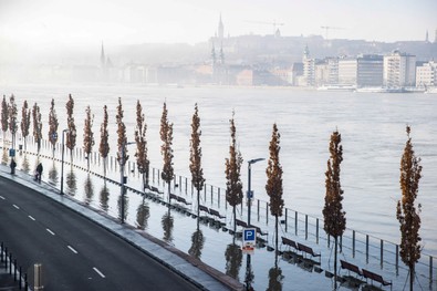 10 yıl sonra bir ilk yaşandı! Aşırı yağışlar Tuna Nehri’ni taşırdı - Resim : 2