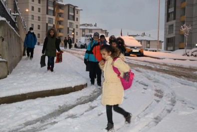 Yüksekova'da kar: 10 köy ile 20 mezra yolu kapandı - Resim : 1