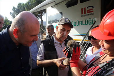 Muğla Marmaris'te ormanlar alev alev yanıyor! Hayvanseverler kirpi ve kaplumbağalar için harekete geçti - Resim : 2
