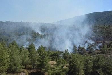 İzmir’deki 3 yangının acı bilançosu ortaya çıktı - Resim : 1
