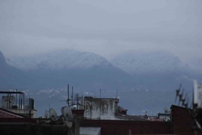 Ordu'nun yüksek kesimlerinde kar ve sis etkili oldu - Resim : 1