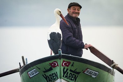 Böylesi bir dostluk görülmedi! Yaren leylek, Adem amca ile 13. kez buluştu - Resim : 2