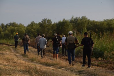Van'da ormandan çıkıp gelen tehlikeli sürü, ekili tarlaları talan etti! Çiftçiler, ellerinde tüfeklerle 24 saat nöbet tutmaya başladı - Resim : 1