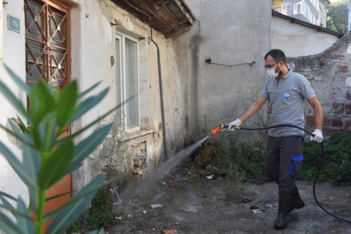 Bursa'da ilaçlama çalışmaları sürüyor - Resim : 1