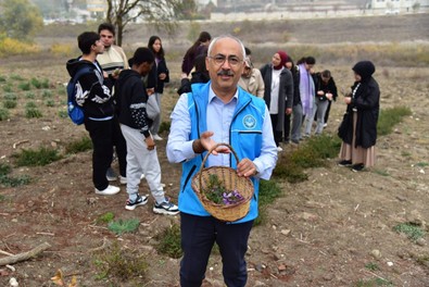Balıkesir'deki botanik bahçesinde ilk kez hasat edildi. Fiyatı altınla yarışıyor - Resim : 1