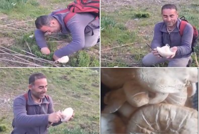 Baharın gelmesiyle birlikte doğanın canlandığı Bitlis'in yüksek rakımlı dağların bir bir toprak yüzüne çıkmaya başladılar. Kilosu 500 lira - Resim : 1