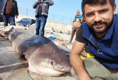 Bursalı balıkçının tuttuğu balık akıllara zarar... Attığı oltaya takıldı. Olta ile bir türlü çekemeyince balığını yüzdürmek zorunda kaldı - Resim : 1