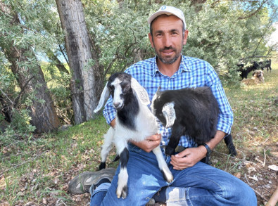 Böyle çoban görülmedi, her şeyi onunla birlikte yapıyor. Yozgatlı çobanın hayvanlarıyla ilişkisi dikkat çekti. - Resim : 1