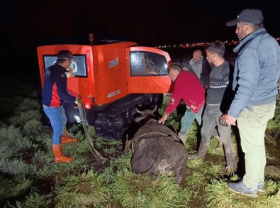 Gecenin bir vakti görmedi… Bir anda kendini bataklıkta buldu … Hemen ekipler müdahale etti - Resim : 1