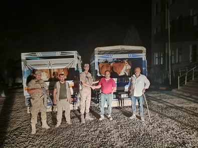 Otlatmak için araziye bıraktığı hayvanlarını bulamayınca ihbar etti. Jandarma olaya el atınca kısa sürede gerçek ortaya çıktı - Resim : 1
