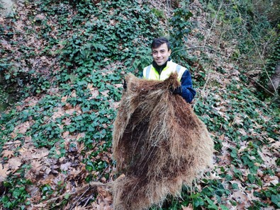 Manisa'da doğal kaynak suyu hattından çıkan yaklaşık 1 metre boyundaki devasa kunduzu görenler gözlerine inanamadı. Ekipler, çalışmalarını sürdürüyor - Resim : 1