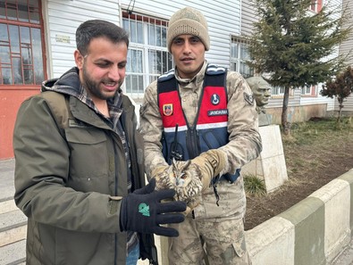 Bitlis'te jandarma ekipleri devriye attığı sırada bir anda o canlı ile karşılaştı. Telsizden hemen birbirlerine haber verdiler. Kalpleri ısıtan olay - Resim : 1