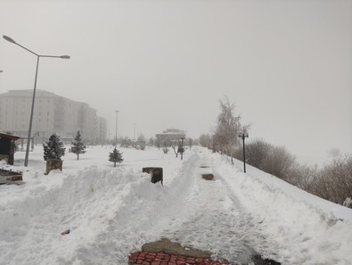 Ardahan'da termometreler eksi 17,6 dereceyi gördü. Dondurucu soğuk ağaçları bile beyaza boyadı - Resim : 1