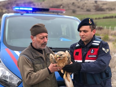 Devriye için çıkan jandarma ekipleri, yaralı canlıyı fark edince hemen aracını durdurdu. Tedavi için yetkililere teslim edildi - Resim : 1