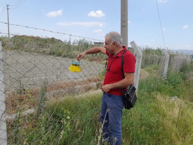 Aydın'da çiftçilerin en büyük kabuslarından biri... Tarımın tansiyonunu belirleyen zararlı ile mücadele sürüyor. Onlara gözü gibi bakıyorlar - Resim : 1