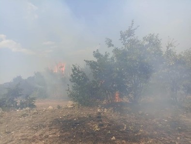 Eskişehir'de ormanlık alanda çıkan yangın yürekleri ağza getirdi! Ekipler olaya müdahale etti - Resim : 1