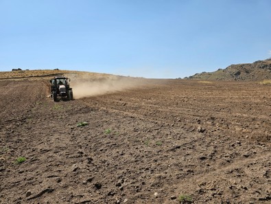 Bitlis'te bu yıl yüzü gülen çiftçiler, 2600 rakımlı bölgede önümüzdeki yılın hazırlıklarına şimdiden başladı - Resim : 1