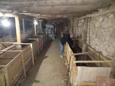 Şehir hayatını bırakıp memleketine döndü. 12 milyonu aşkın üretim yaptı - Resim : 1