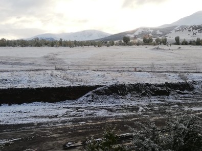 Erzurum kent merkezi, gece saatlerinde beyaza boyandı - Resim : 1