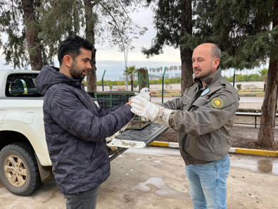 Hatay'da yaralı halde bulundu. Acil tedavi altına alındı - Resim : 2