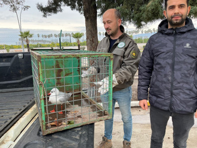 Hatay'da motosikletiyle sahilde gezerken yaralı halde buldu. Tedavisi için yetkililere acilen haber verdi - Resim : 2