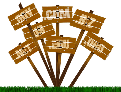Web sitesi ve alan adları 'arsa' gibi değerli! - Resim : 1