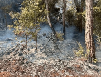 Adana'da gerçekleşen yangın yürekleri ağza getirdi - Resim : 2