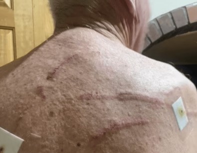 Doğada normalde sakinliğiyle bilinen bir hayvan bu sefer çıldırdı. Normalde yapmadığı bir şeyi yaptı - Resim : 1